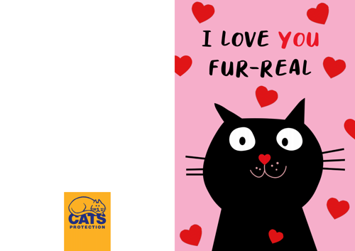 I love you fur-real Valentine's Card