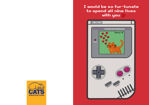 Fur-tunate to spend nine lives with you Valentine's Card