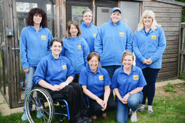 Recognising our volunteers: cat-loving team from Deeside make a real difference