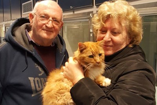 Ginger cat Tosha reunited with owners 10 years after going missing