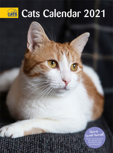 Cats protection Cats Calendar 2021 cover featuring ginger-and-white three-legged cat