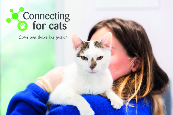 What is it like to be a Cats Protection charity Trustee?