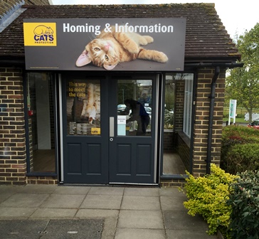 cat protection rehoming centre