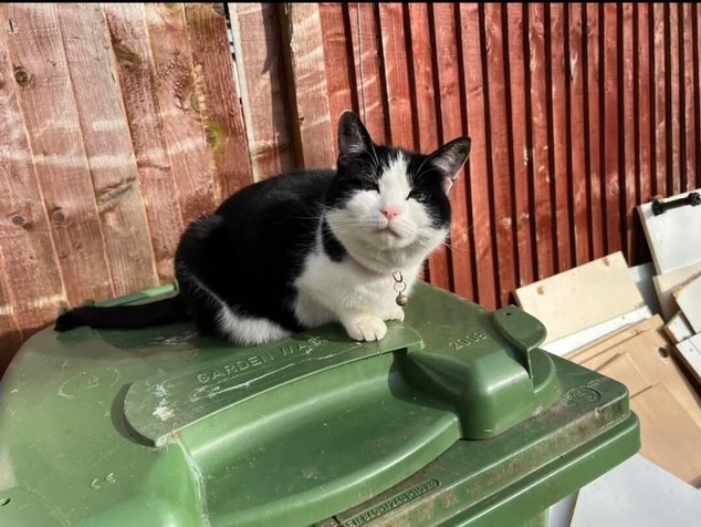 Mitzie (Old Woking) 31/03/2025 L569A
