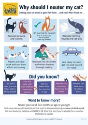 Neutering your cat | Cats Protection