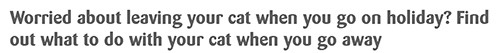 Cats Protection Worthing & District Branch