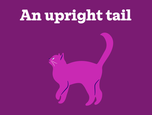 A graphic of a cat with an upright tail