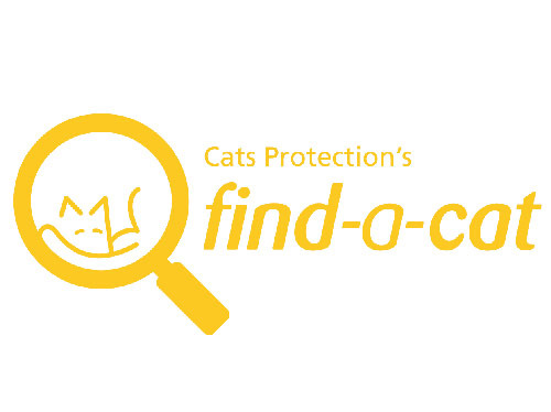 cats protection adopt