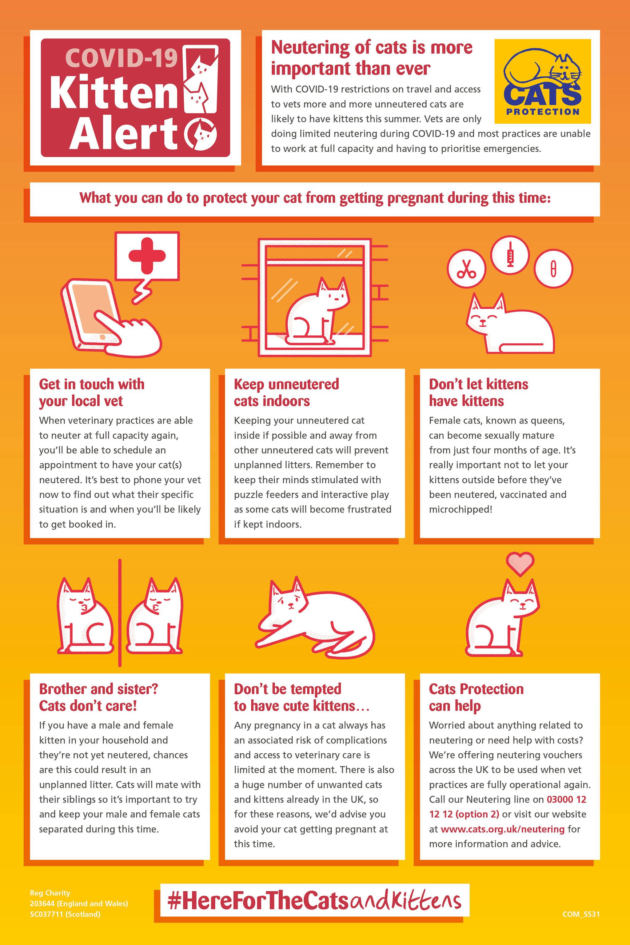 when to get your cat neutered