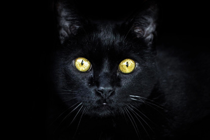 black cats with green eyes meaning