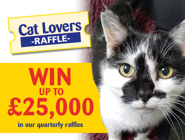 Lottery and raffle Support us Cats Protection