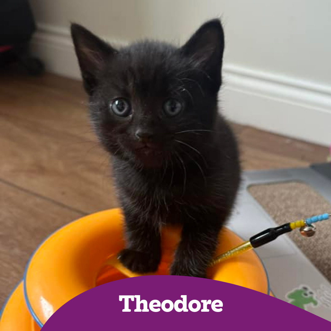 Theodore