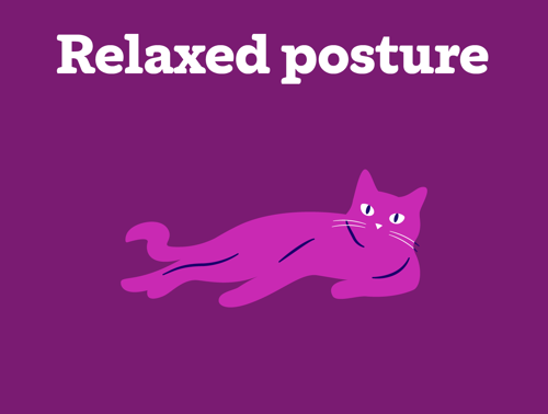 An illustration of a cat with a relaxed posture