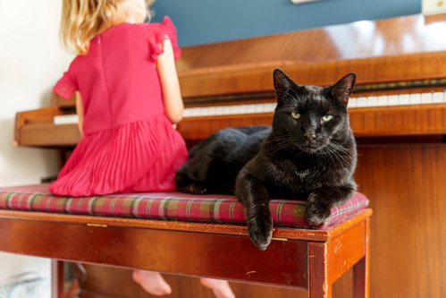 black cat sitting on a stool in front of a piano. A young girl with blonde hair and in a pink dress is playing the piano