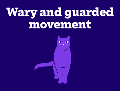 An illustration of a cat that is wary and guarded