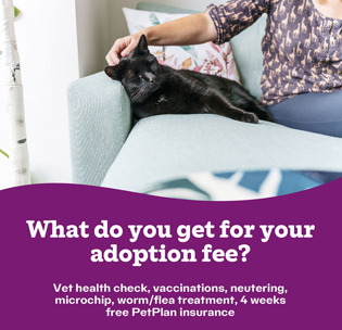 What is included in the adoption fee?