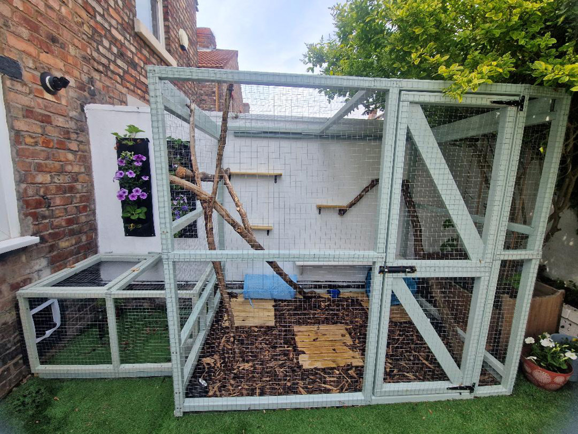 Catio for cats best sale