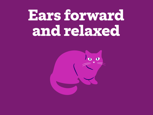 An illustration of a cat with their ears forward