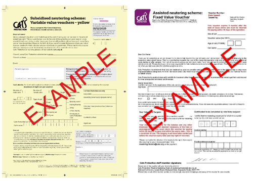 Examples of subsidised vet neutering vouchers