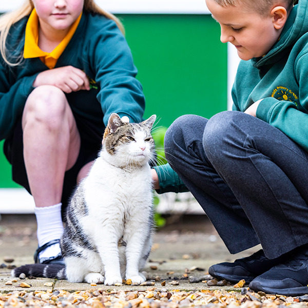 Finalists announced in Cats Protection National Cat Awards 2024