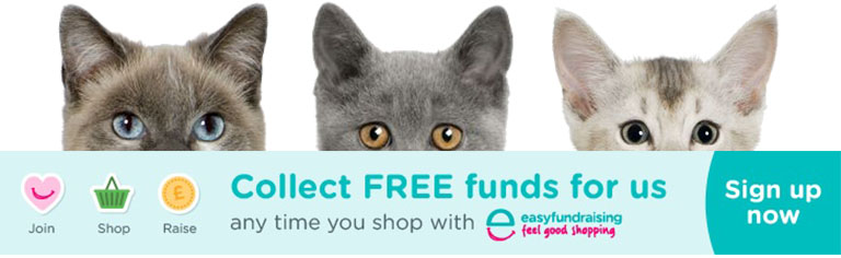 cats protection shop online