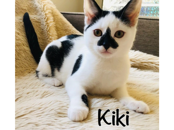 Kiki