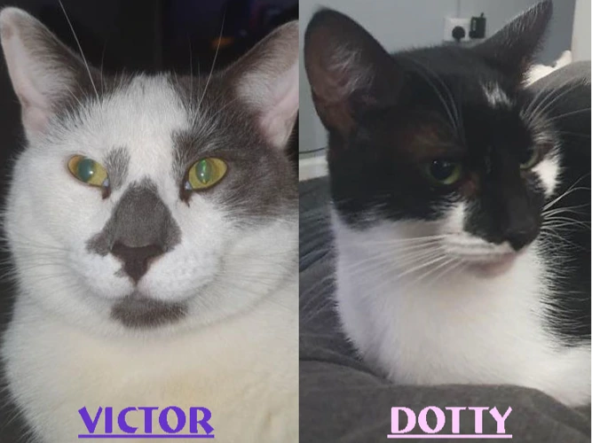 Victor and Dotty