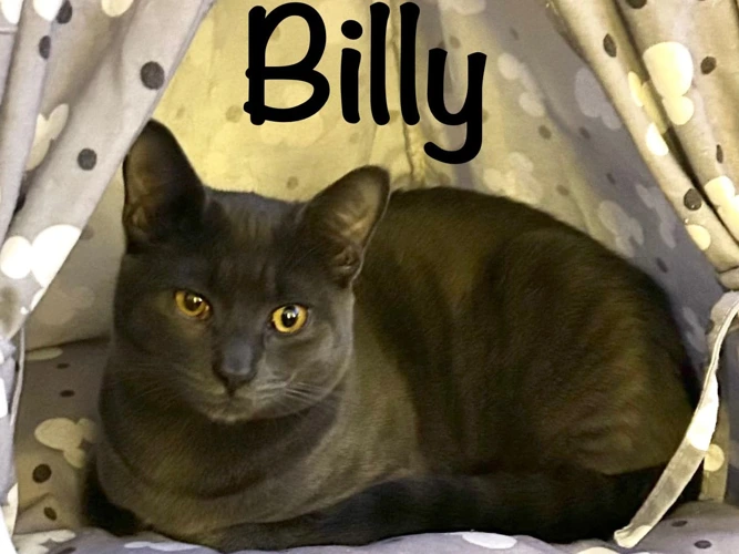 BILLY