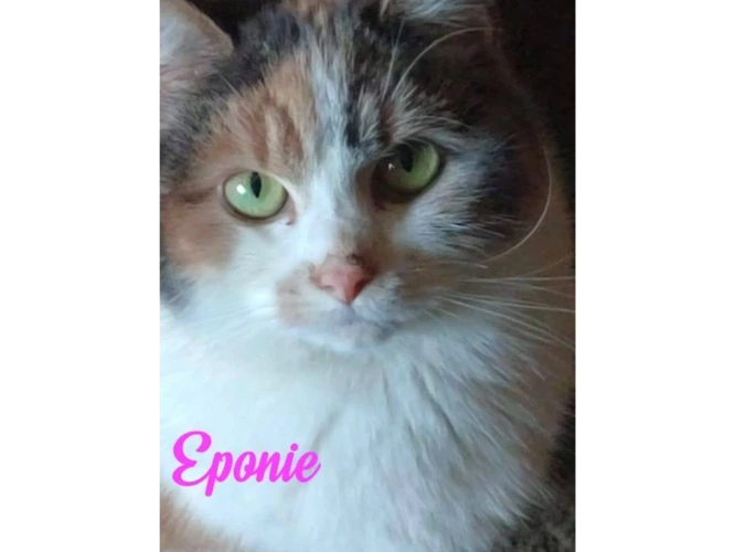 Eponie (and Peanut)