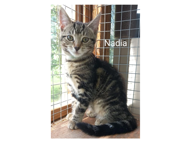 Nadia