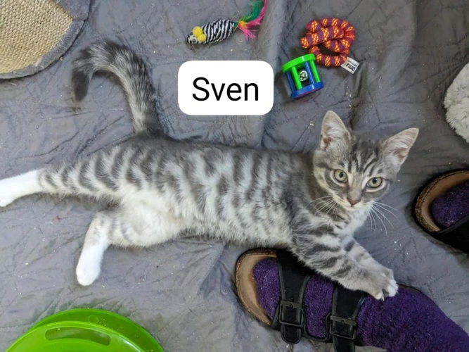 Sven