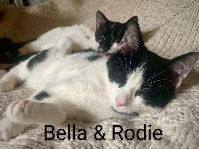 Bella & Rodie