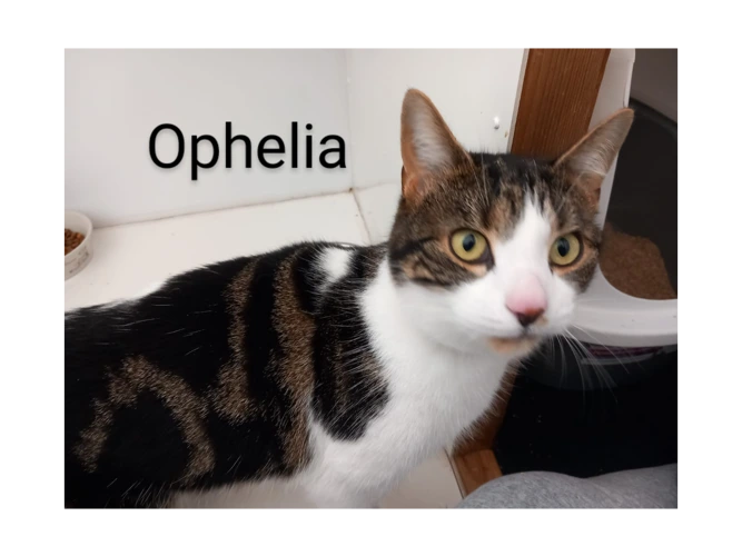 Ophelia