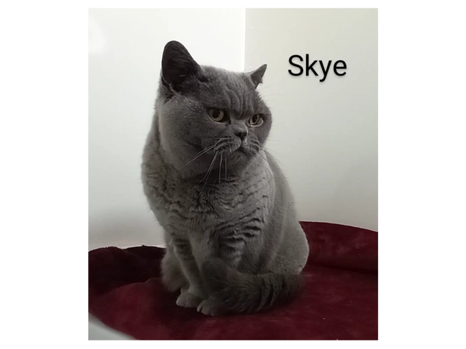 Skye