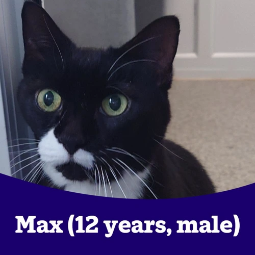 Max