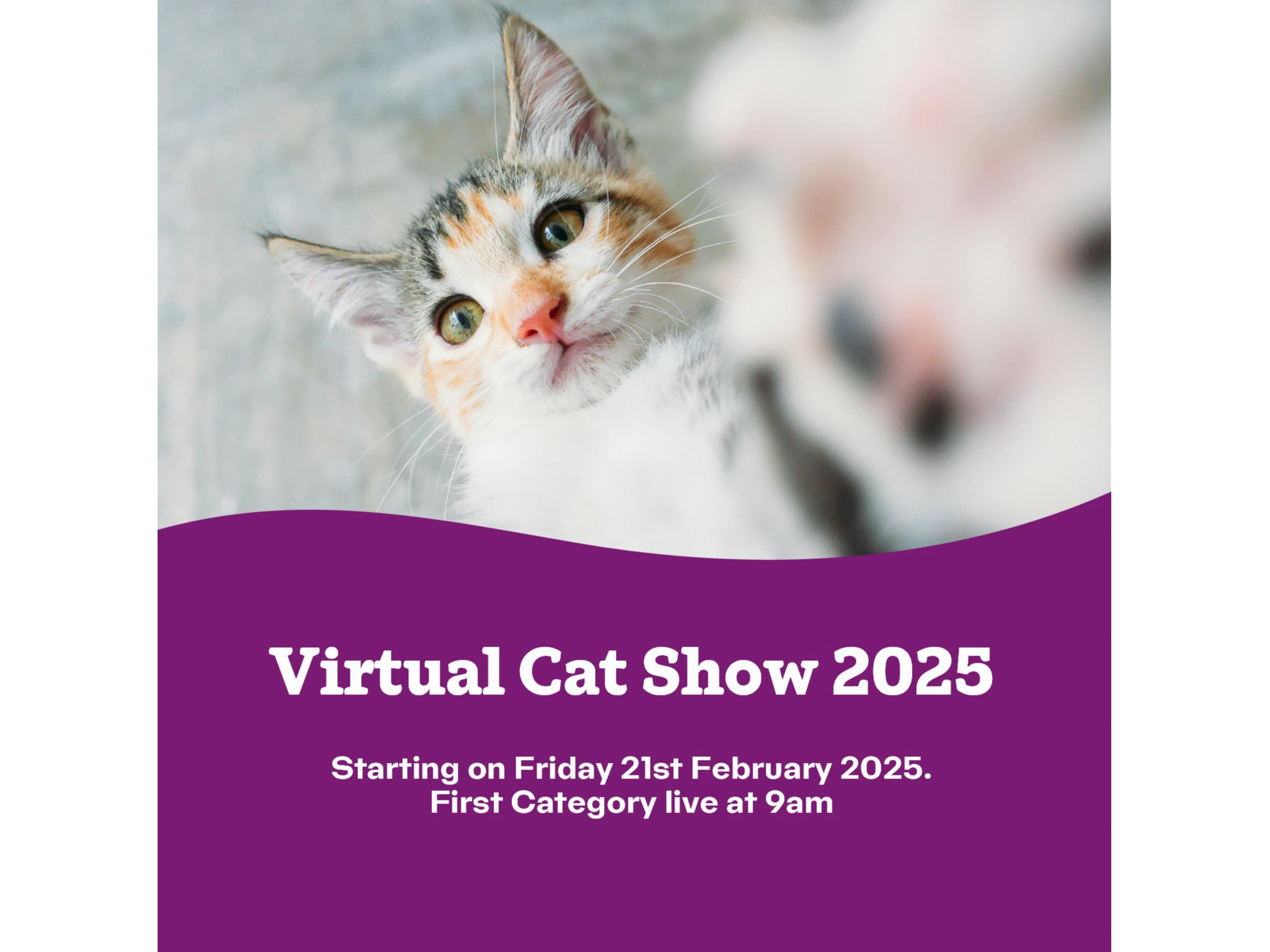 The Virtual Cat Show 2025