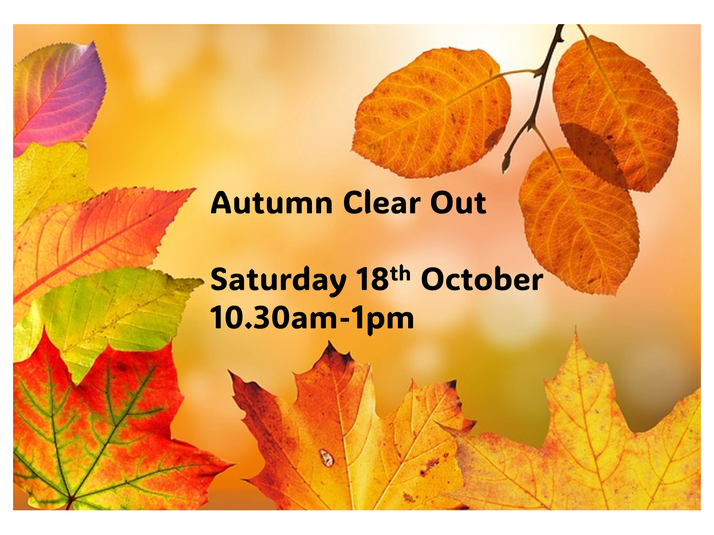 Autumn Clear Out