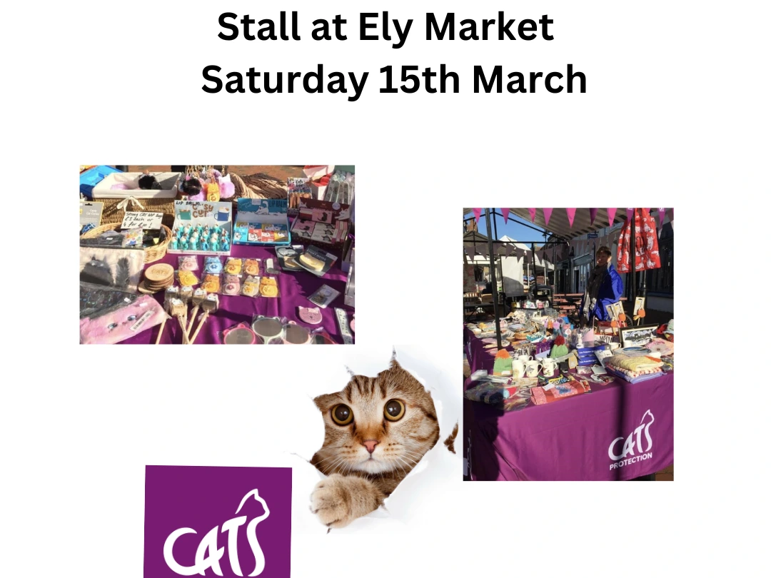 Ely Market