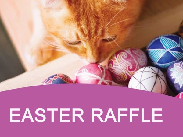 We have launched our Easter Raffle!