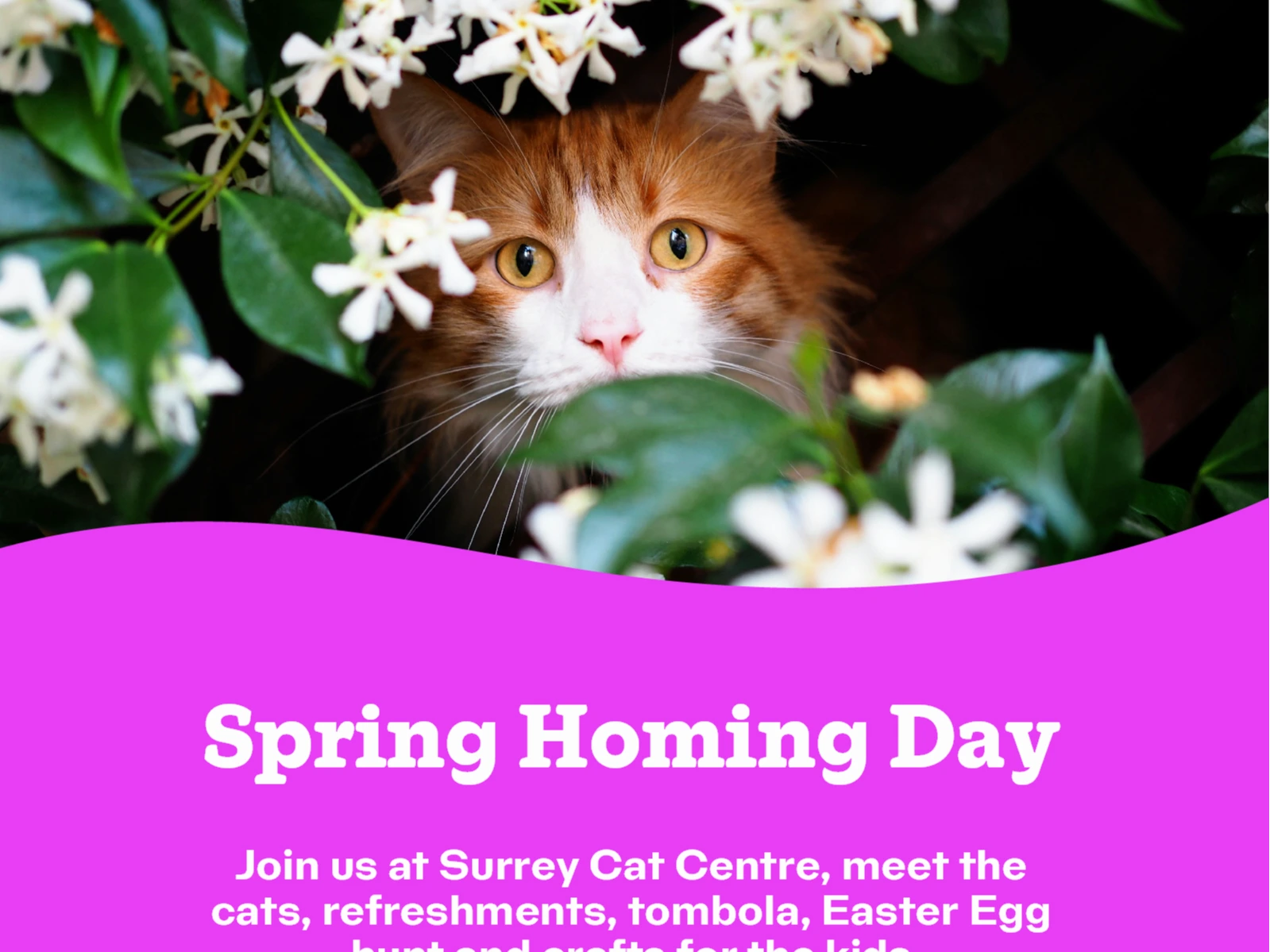 Spring Homing Day