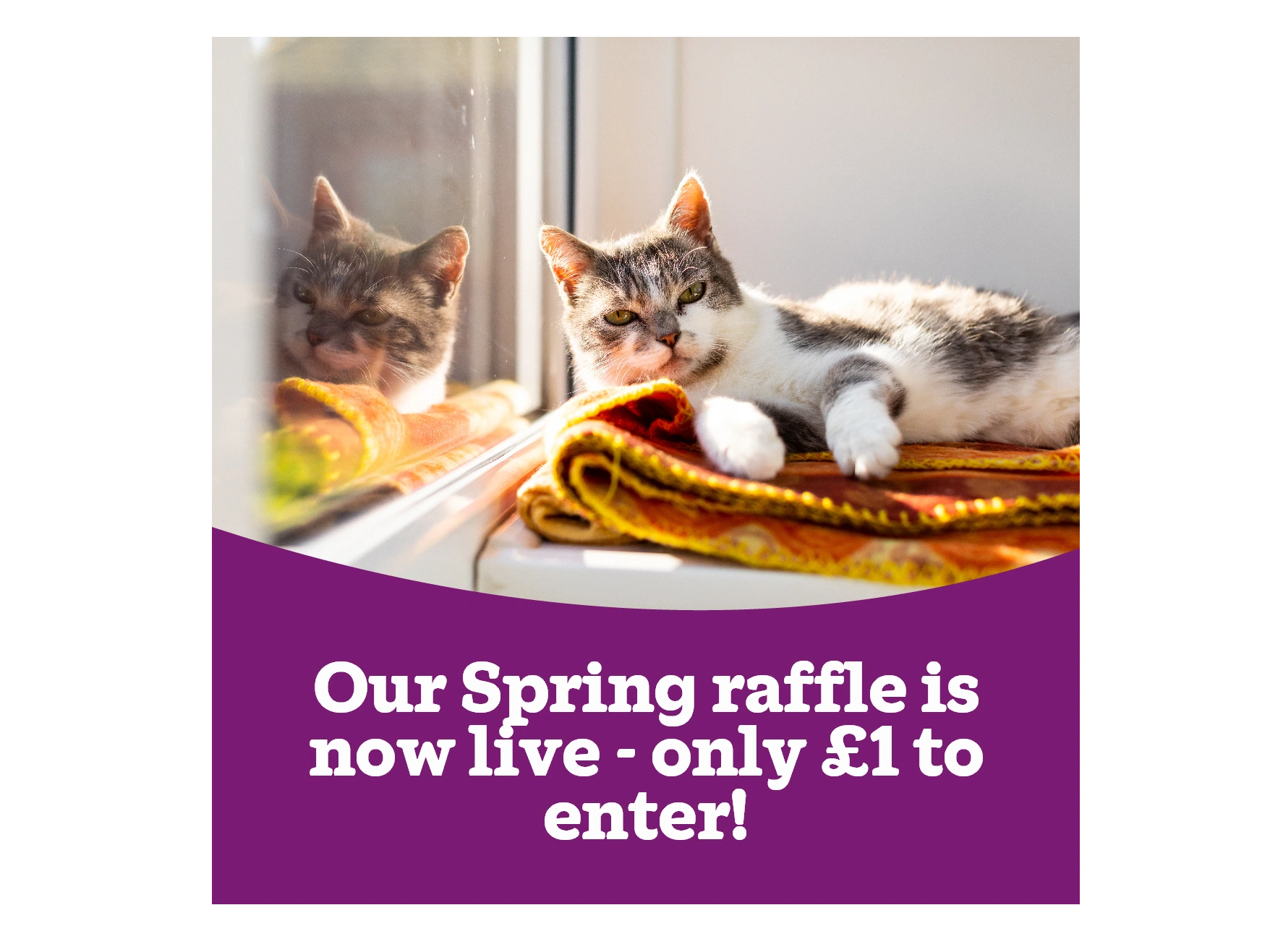 Our Spring Raffle is now live!