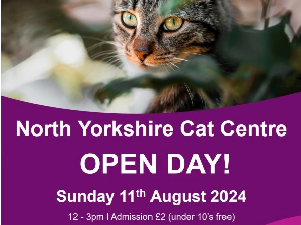 North Yorkshire Cat Centre Summer Open Day