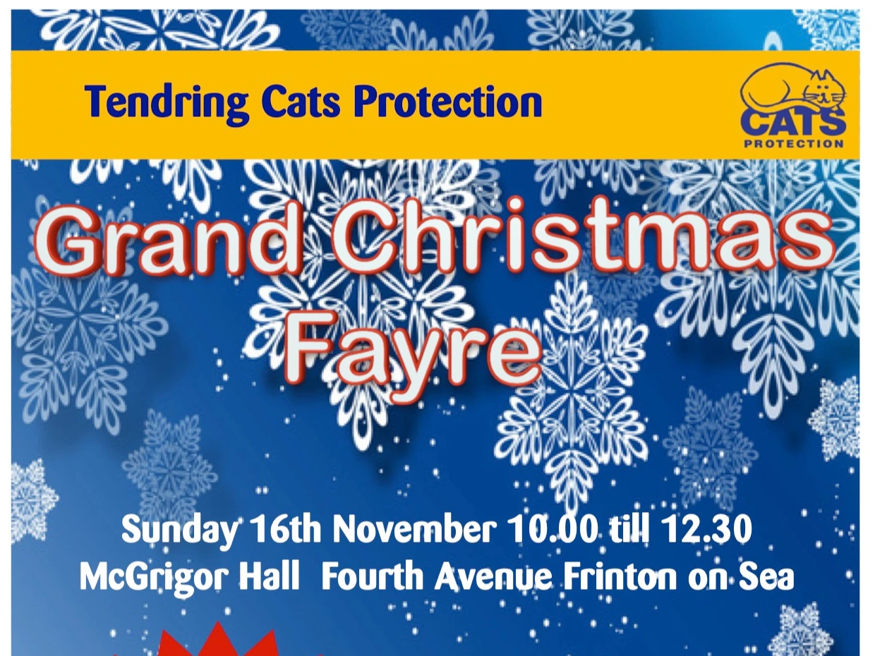 Cats Protection Christmas Fayre