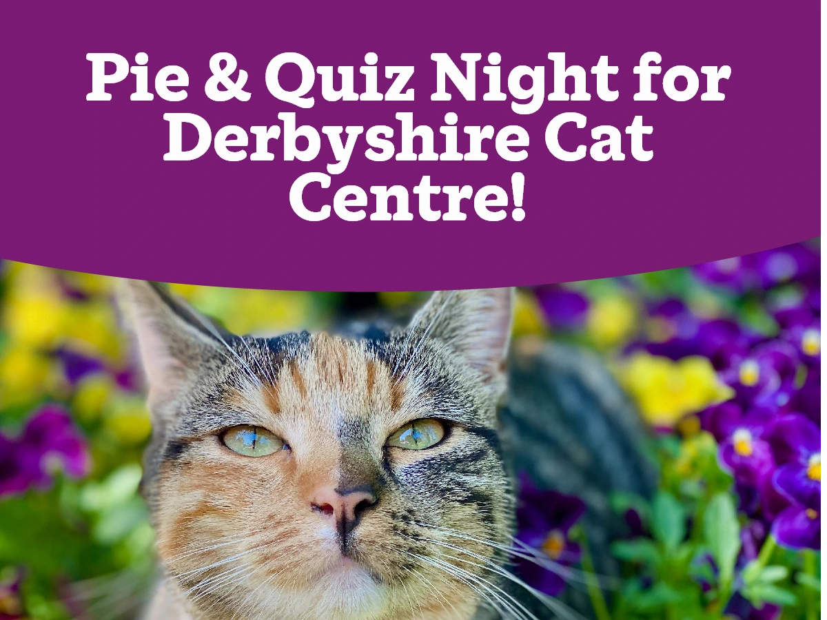 Pie & Quiz Night - Cats Protection and Pieminister