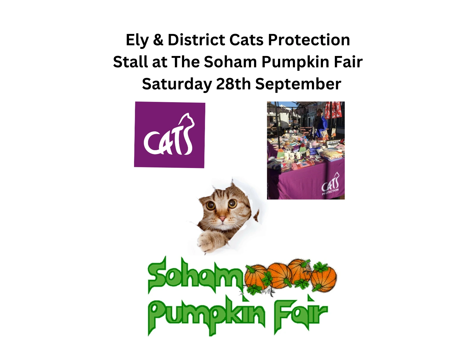 Soham Pumpkin Fair