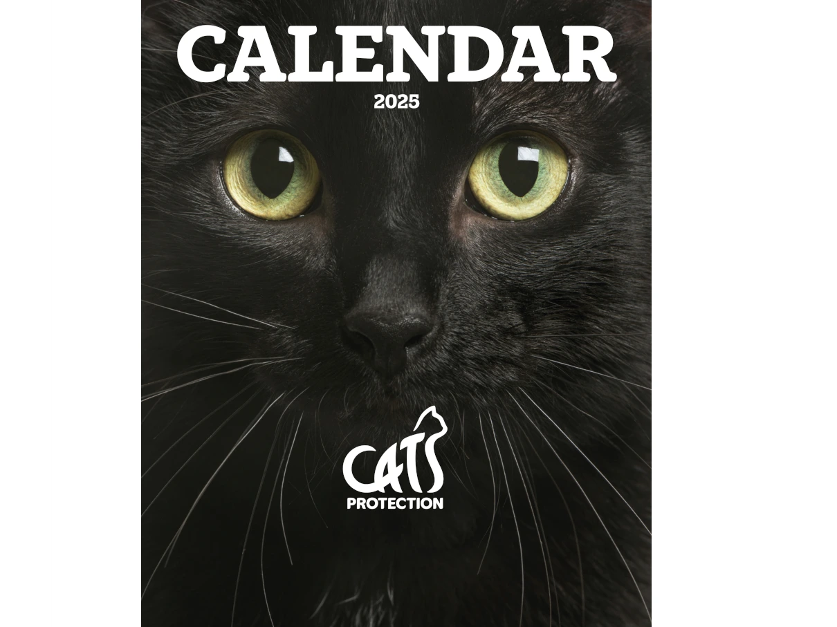 2025 Calendar Now Available