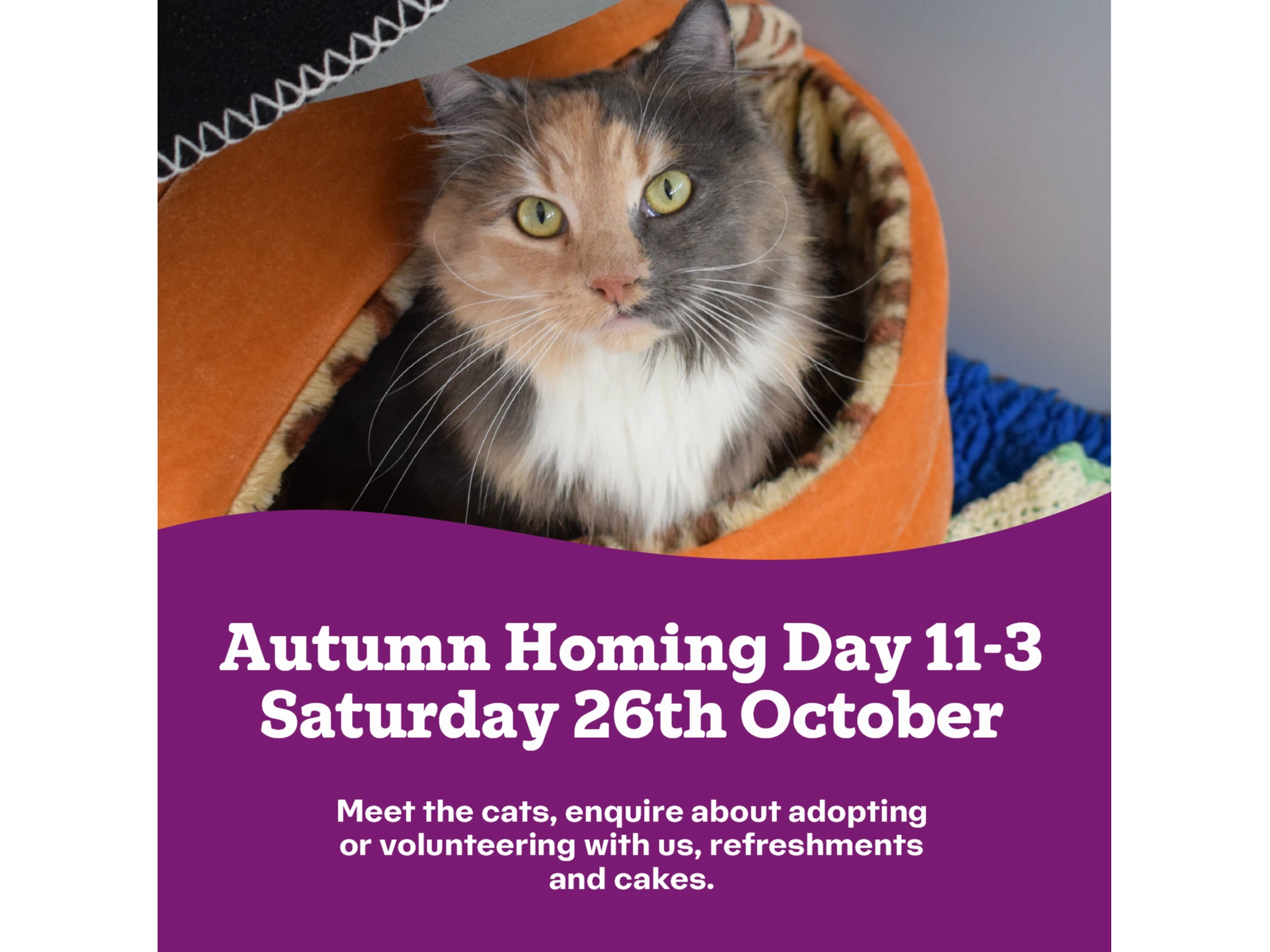 Autumn Homing Day