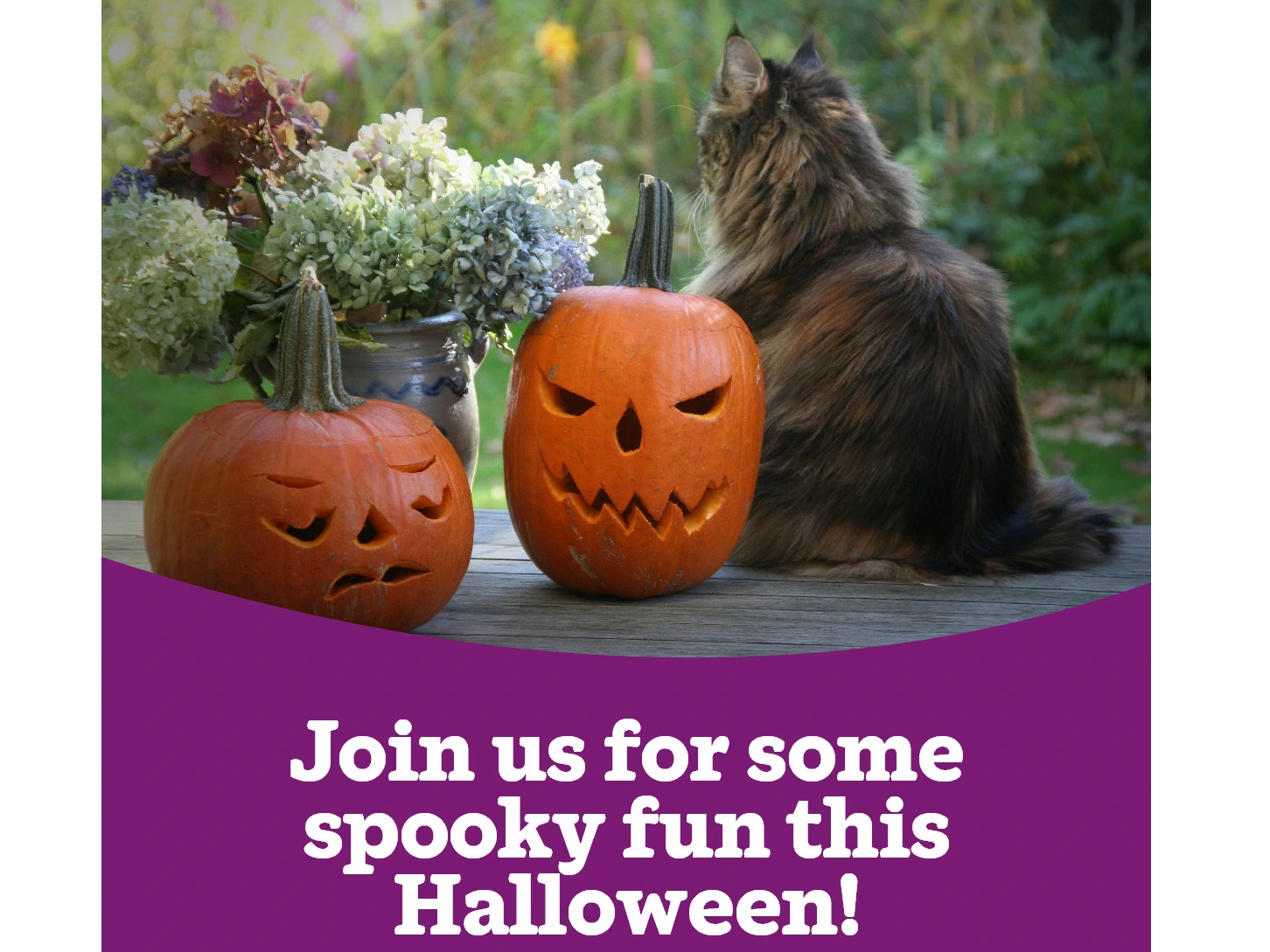 Join us for some spooky fun