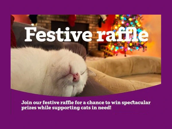 Festive Raffle