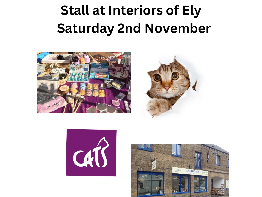 Stall at Interiors of Ely 9am - 2pm